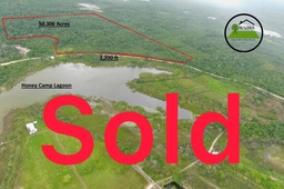 50.306 acres of land being in the Millers Bight  Registration Section, Orange Walk DISTRICT